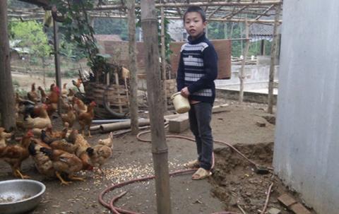 I am helping my parents feed the chickens. 